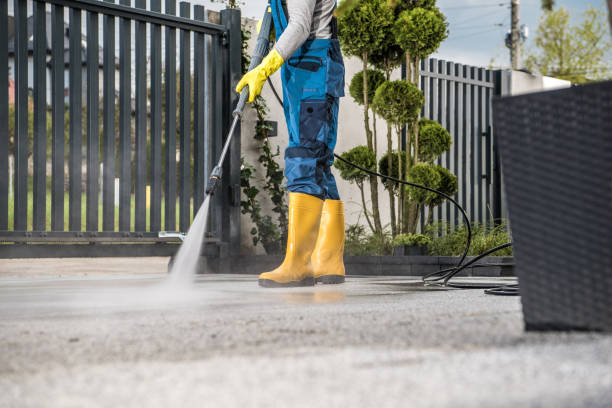 Best Driveway Cleaning and Restoration in Huntland, TN