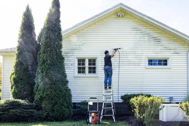 Best Building Exterior Pressure Washing in Huntland, TN